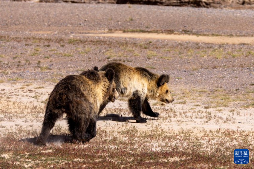 ?? ??? ????? ?????? ?? ??? ????? ????. [8? 30? ??/?? ??: ???]