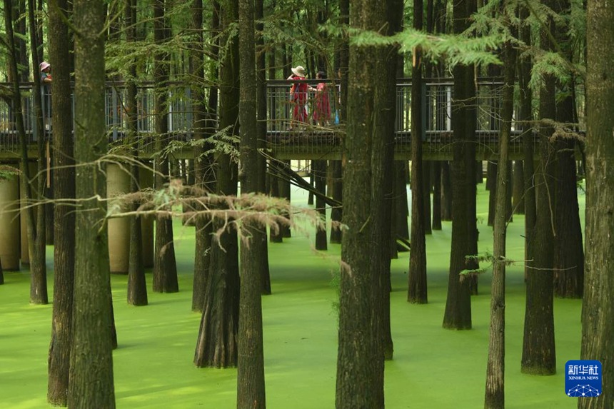 ????? ?? ? ???? ????. [9? 4? ??/?? ??: ???]