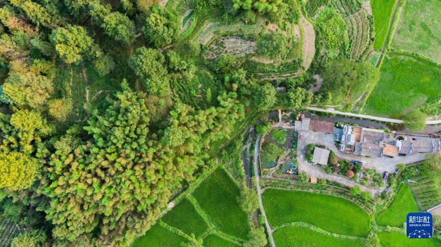 ?? ? ??? ???? ??? ?? ?? [7? 31? ?? ??/?? ??: ???]