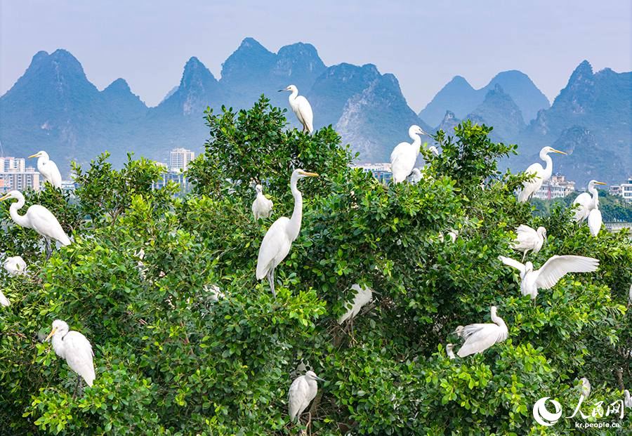 [??] 中 ?? ???? ????? ?? ? ??