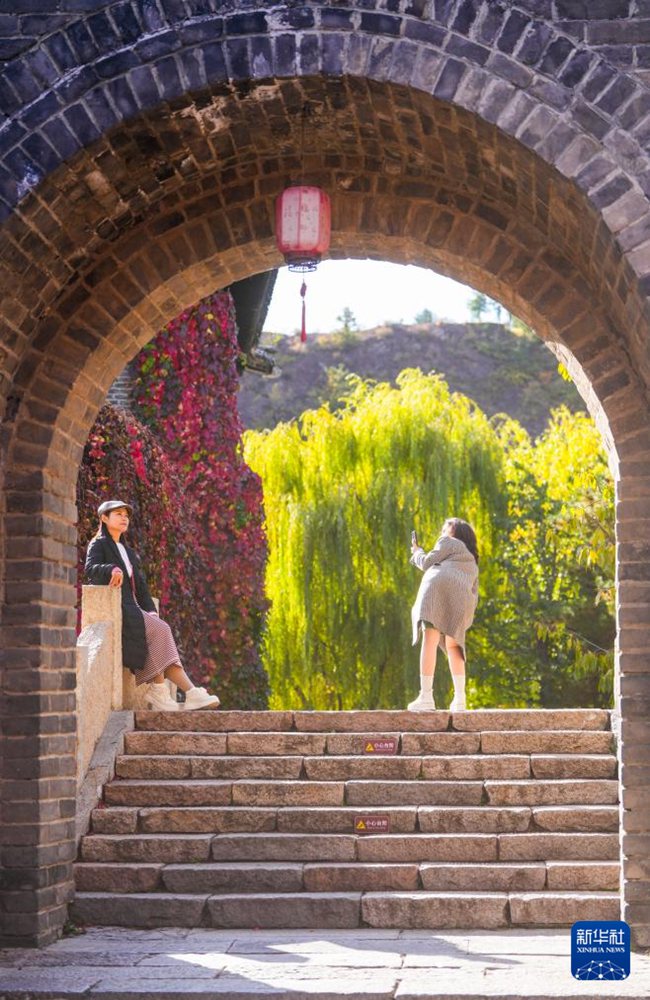 ????? ???????? ????? ???. [10? 20? ??/?? ??: ???]