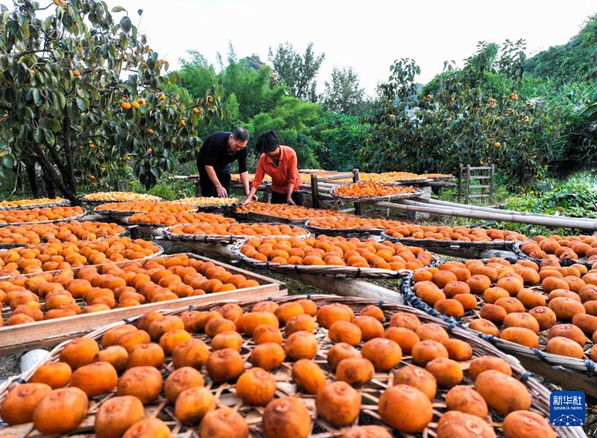 ?? ?????? ??(蓮花)? ??(紅巖)??? ? ??? ??? ????. [10? 25? ??/?? ??: ?????]