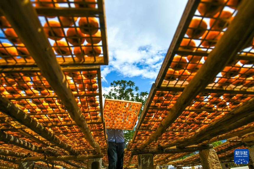 ?????? ???? ????? ? ??? ??? ????. [10? 26? ??/?? ??: ?????]