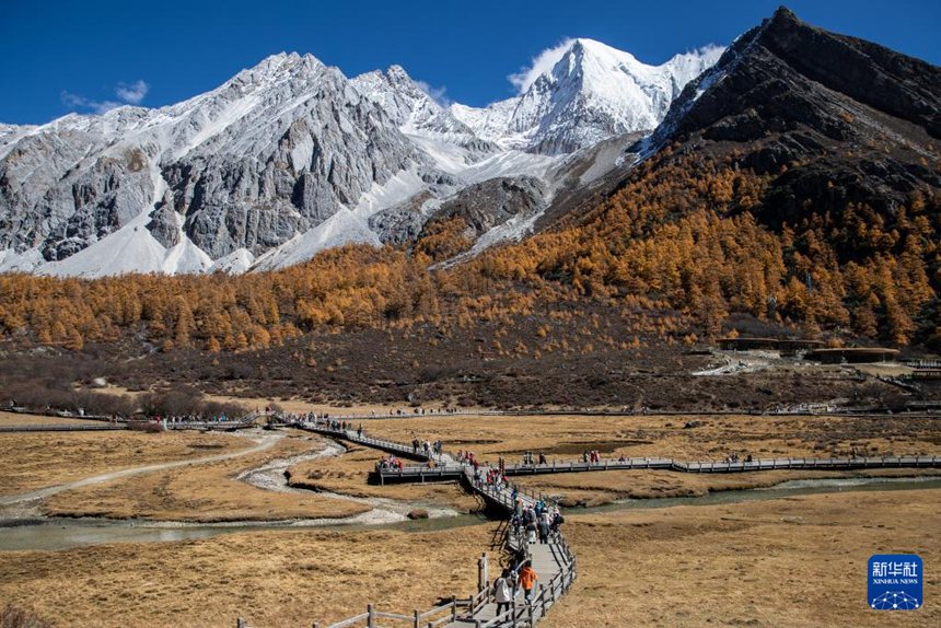 ????? ??? ?? ?????? ??? ?? ???? ???. [10? 31? ??/?? ??: ???]