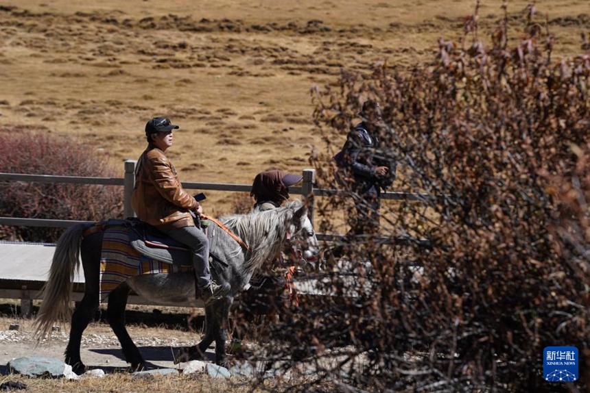 ???? ??? ?? ????? ?? ??. [10? 31? ??/?? ??: ???]