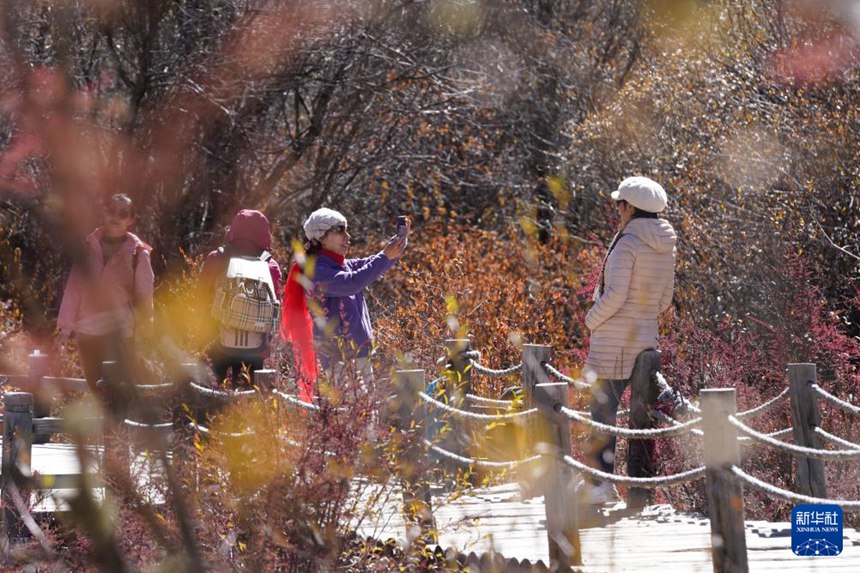 ????? ??? ?? ????? ??? ???. [10? 31? ??/?? ??: ???]