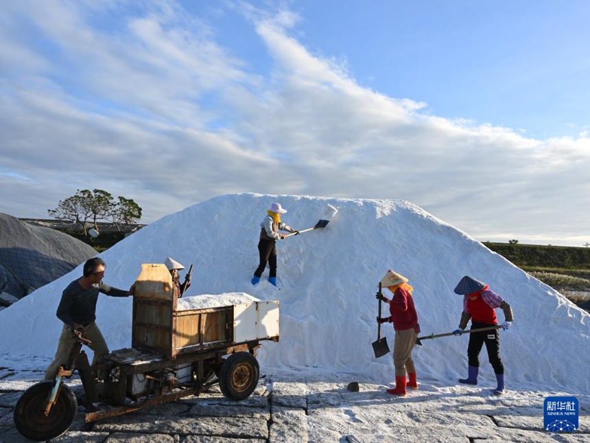 ?? ?? ??? ????. [11? 8? ??/?? ??: ???]