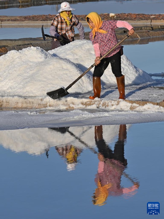 ?? ?? ??? ????. [11? 8? ??/?? ??: ???]