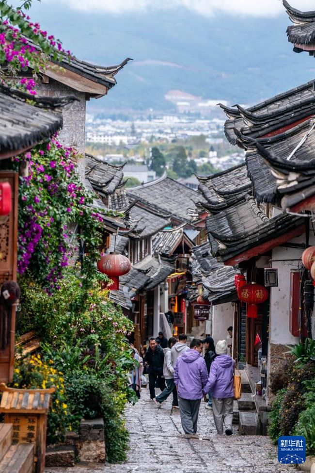 ????? ???? ???? [11? 8? ??/?? ??: ???]