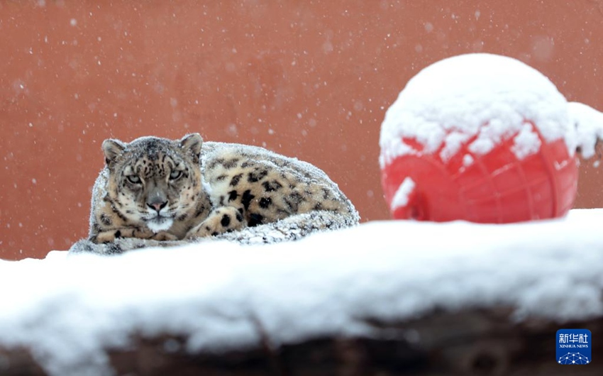 ??????? ????? ???? ? ?? ???? ?? ?? ??. [11? 24? ??/?? ??: ???]