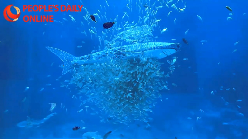 [??] ?? ???? ?? ?? ‘?? ????’