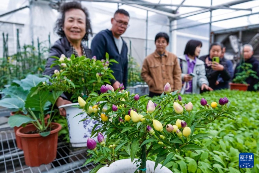 ??? ?? ??? ???? ?????? ??? ????? ‘??? ??’? ?? ?? ??? ????. [11? 18? ??/?? ??: ???]