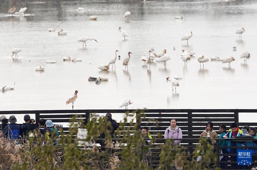 ???? ???? ???? ? ?? ?? ????. [12? 17? ??/?? ??: ???]