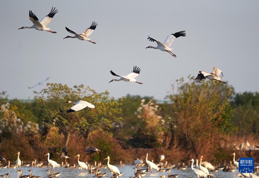 ???? ? ?? ?? ?????. [11? 27? ??/?? ??: ???]