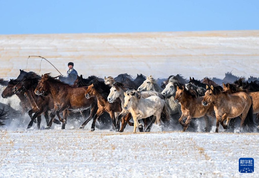 ??????? ???? ???? ?? ????. [12? 12? ??/?? ??: ???]