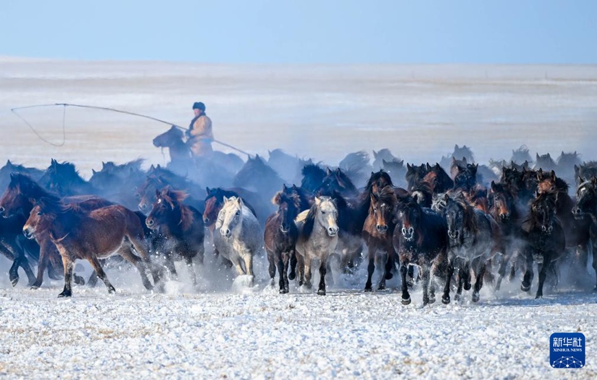 ??????? ???? ???? ?? ????. [12? 12? ??/?? ??: ???]