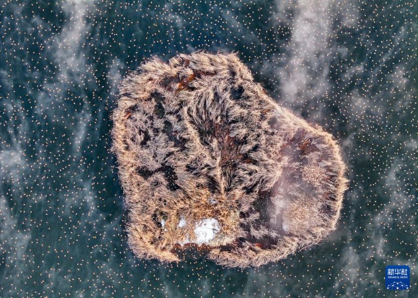 ???? ???? ‘????’ ?? [1? 11? ?? ??/?? ??: ???]