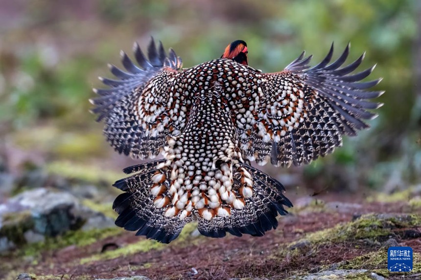 ??? ???? ??????? ? ??? ??????? ?? ??. [3? 7? ??/?? ??: ???]