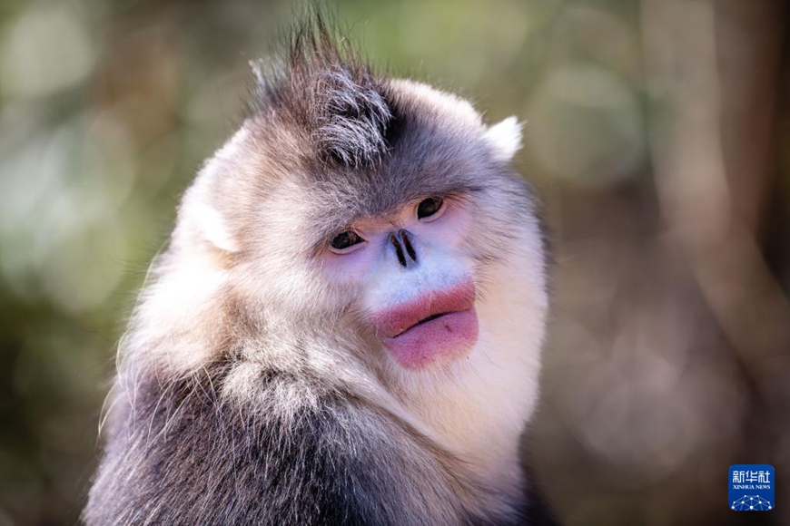 [??] ?? ????????, ??? ??? ?? ??