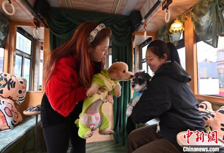 ?? ???? ?????? ?? ??? ???? ???? ??. [3? 16? ??/?? ??: ?????]