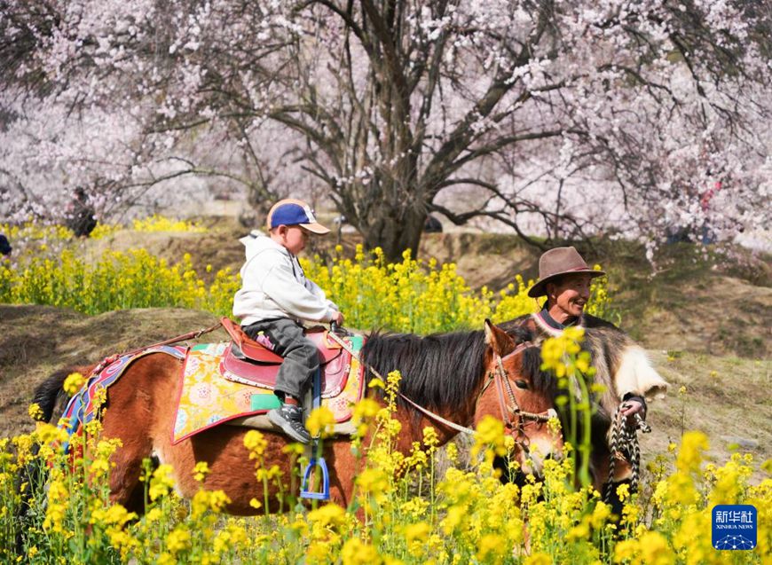 ???? ????? ???? ??? ??. [3? 29? ??/?? ??: ???]