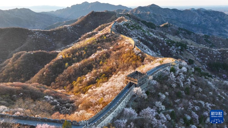 ??? ???? ??? ??? ?? [4? 5? ?? ??/?? ??: ???]