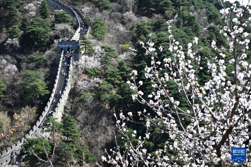 ??? ??? ?? ???? [4? 5? ??/?? ??: ???]