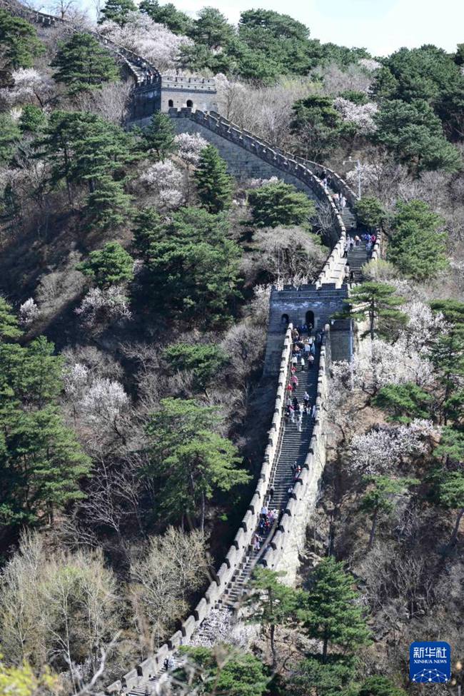 ??? ??? ?? ???? [4? 5? ??/?? ??: ???]