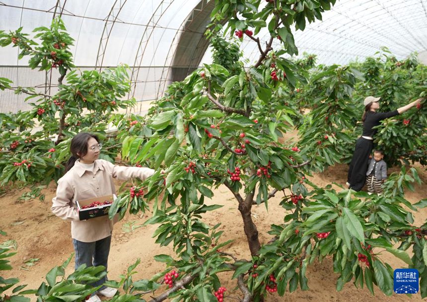 ?? ?? ?? ??? ??? ???? ??? ???? ??. [4? 9? ??/?? ??: ???]