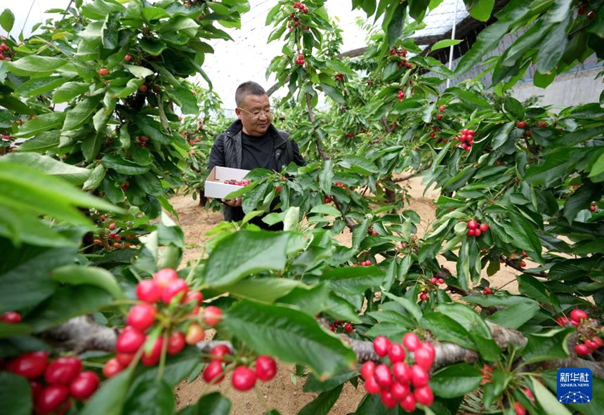 ?? ?? ?? ??? ??? ???? ??? ???? ??. [4? 9? ??/?? ??: ???]