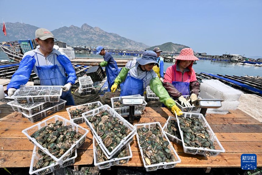 ??? ???? ??? ???? ?? ?? ????? ??? ???? ??? [4? 11? ??/?? ??: ???]