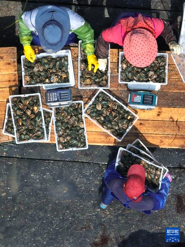 ??? ???? ??? ???? ?? ?? ????? ??? ???? ??? [4? 11? ?? ??/?? ??: ???]