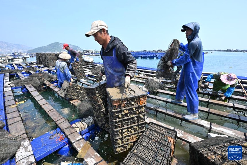 ??? ???? ??? ???? ?? ?? ????? ??? ???? ??? [4? 11? ??/?? ??: ???]