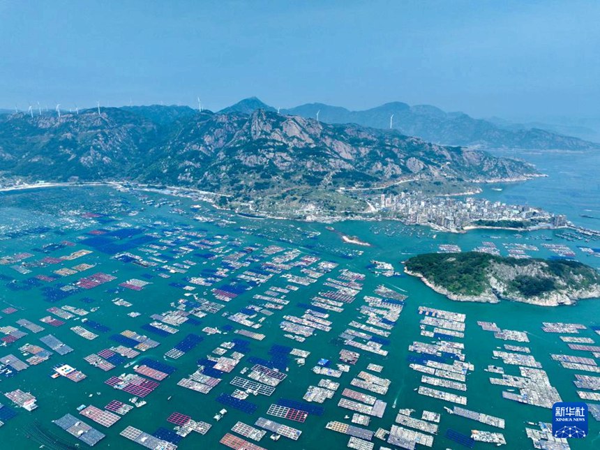 ??? ???? ?? ?? ?? ??? ?? [4? 11? ?? ??/?? ??: ???]