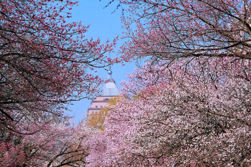 ?????? ???? ??? ??. [?? ??: ???]