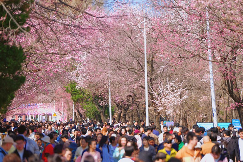 20?, ?? ???? ????? ?????? ??? ???? ???? ??. [?? ??: ???]