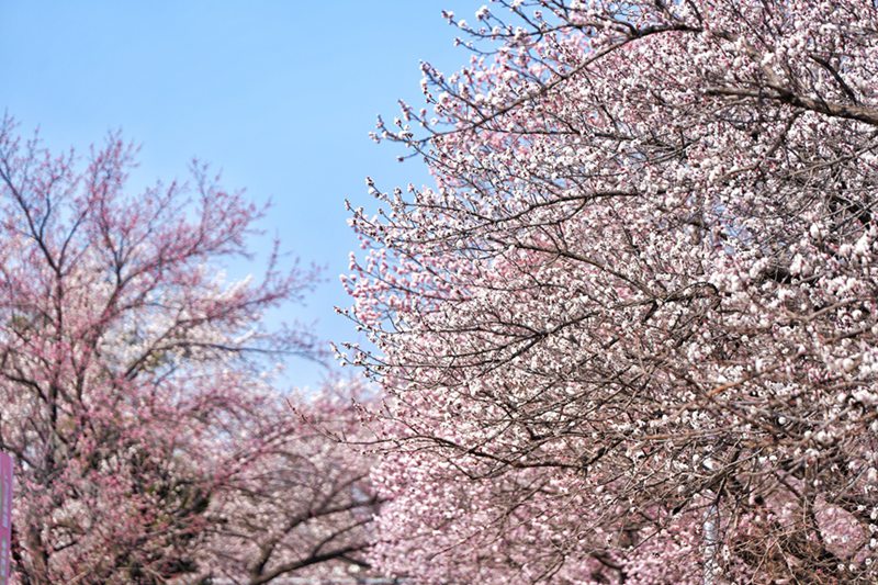 ????? ??? ??? ??? ??? ????. [?? ??: ???]