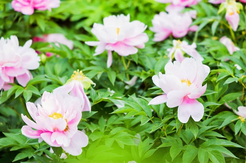 ?? ??????? ???? ?? ?? ??. [?? ??: ???]