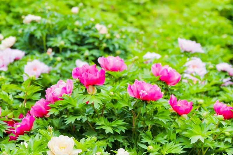 ?? ??????? ???? ?? ?? ??. [?? ??: ???]