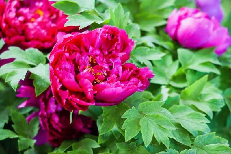 ?? ??????? ???? ?? ?? ??. [?? ??: ???]