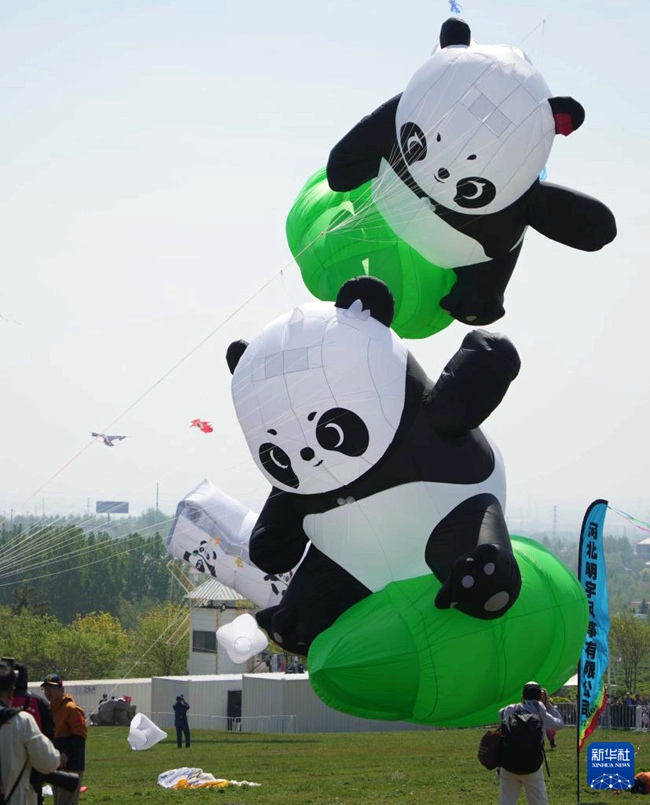 ?42? ??? ?????????? ??? ??? ? [4? 19? ??/?? ??: ???]