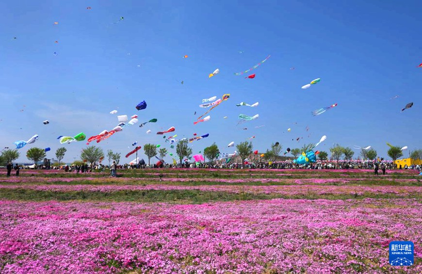 ?42? ??? ?????????? ??? ??? ? [4? 19? ??/?? ??: ???]