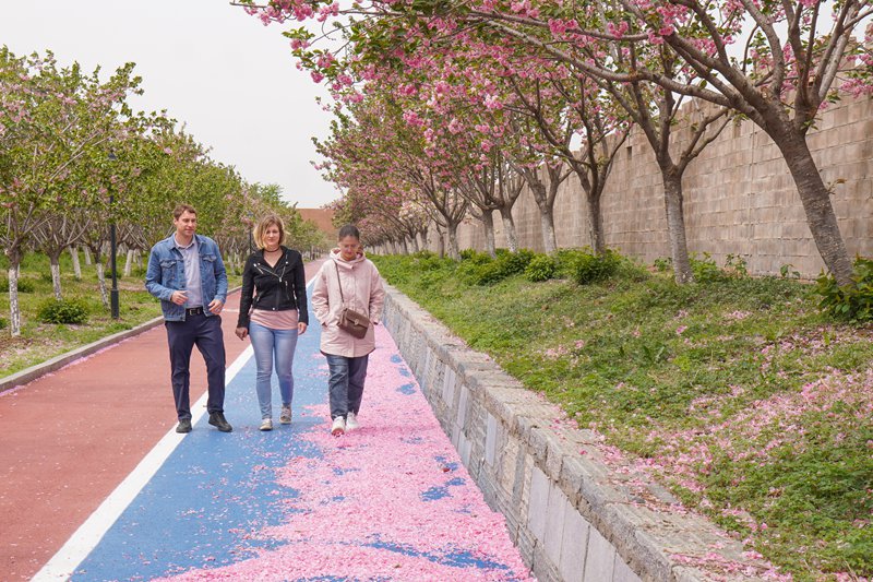 ??? ????? ??? ????? ???? ??.