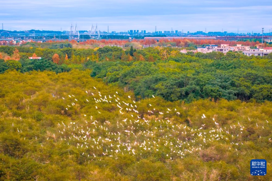 ?? ??????? ????. [2? 3? ?? ??/?? ??: ???]