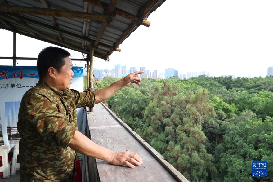 ????? ?? ????? ??? ????. [3? 3? ??/?? ??: ???]