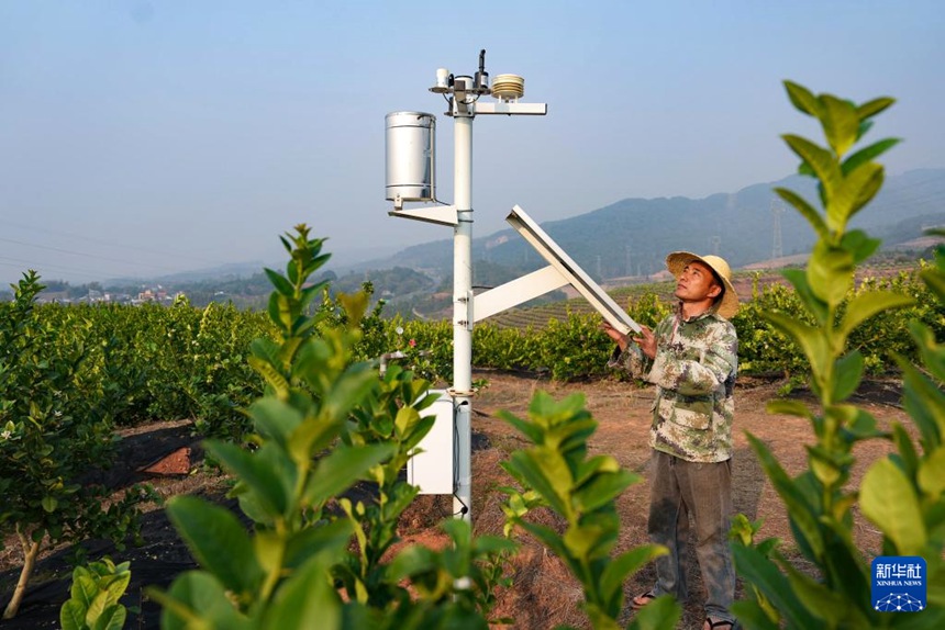 ??? ? ?? ?? ??? ?????? ??? ???(黃勒干)? ?? ?? ???? ?? ??? ???? ??. [3? 31? ??/?? ??: ???]