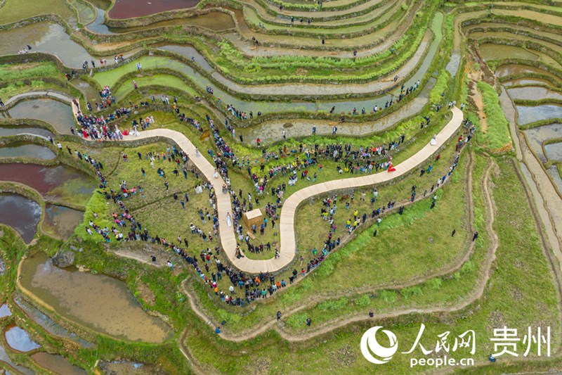 ???? ??? ?? ??? ? T??? ?