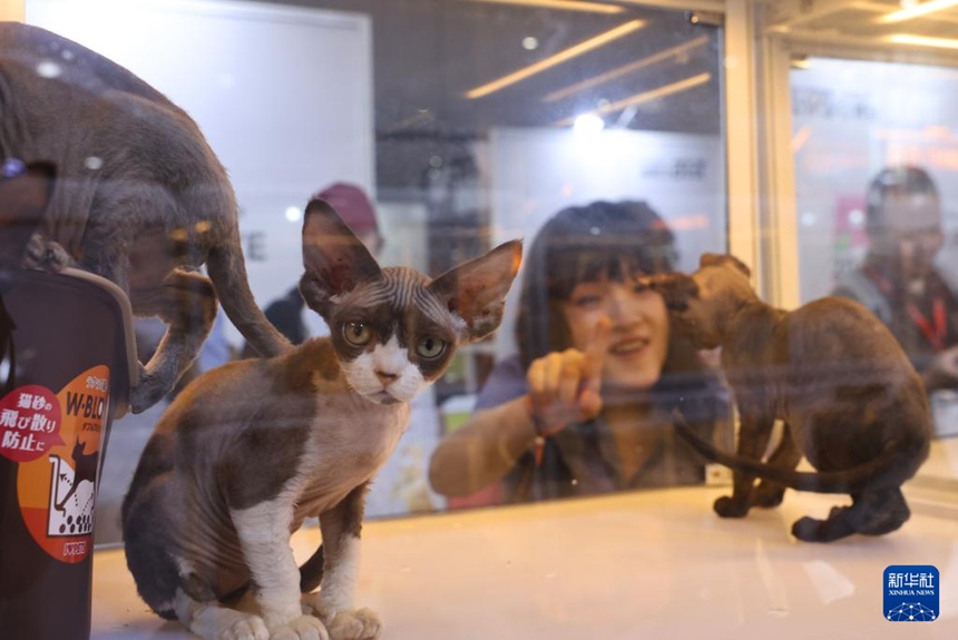 ???? ??? ?? ?? ?? ???? ???? ??. [5? 8? ??/?? ??: ???]