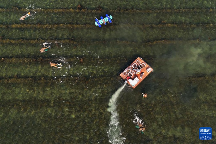 ????? ??? ?? ??. [5? 12? ?? ??/?? ??: ???]