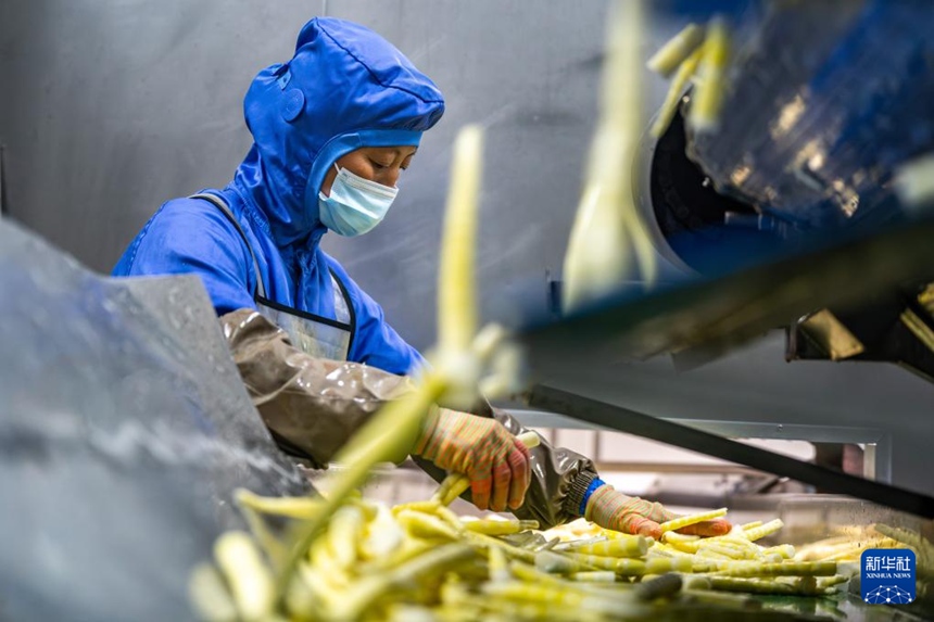 ??? ??? ??? ??? ?????? ???? ?? ?? ?? ???? ????? ???? ??. [5? 14? ??/?? ??: ???]